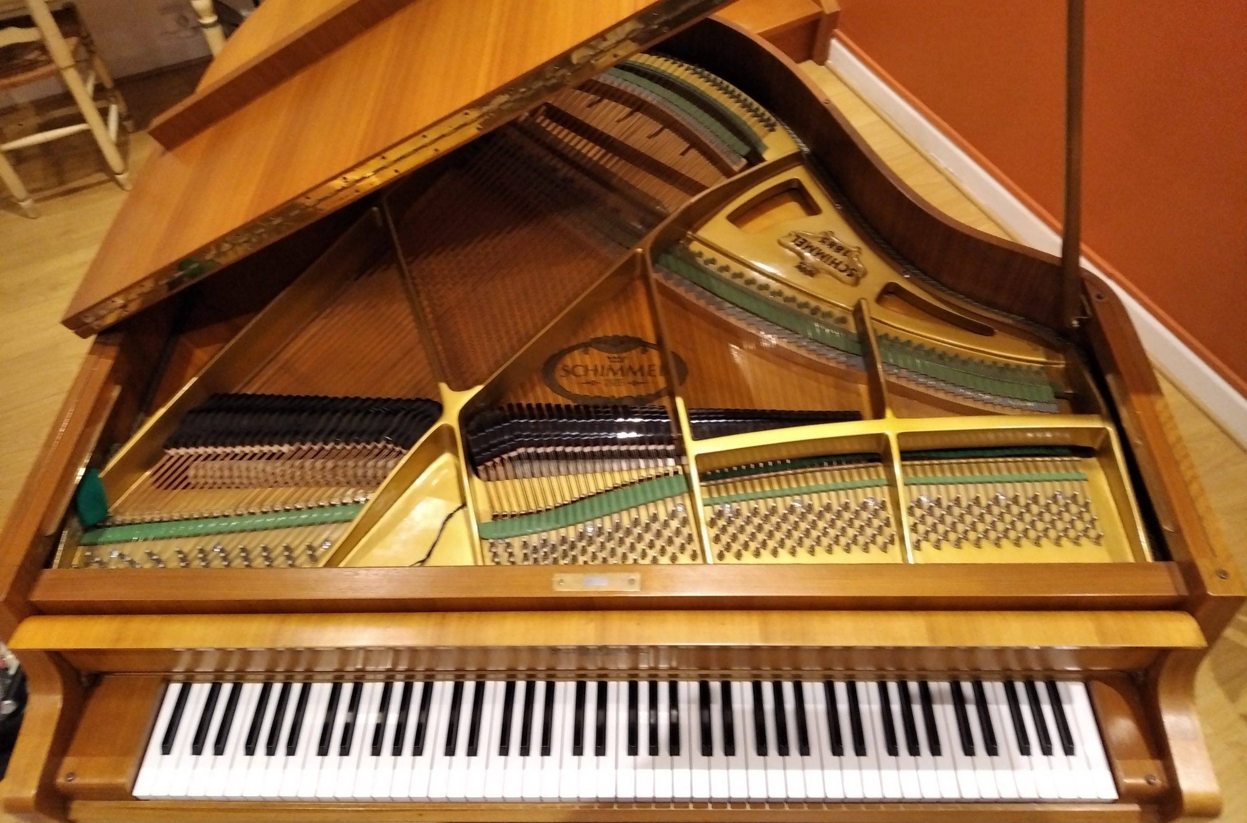 Achetez votre piano grâce à une experte qui vous aidera à vérifier que ce piano vaut la peine d'être acheté